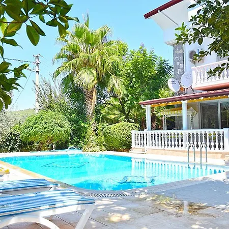 Adelphi فيلة كاياكوي